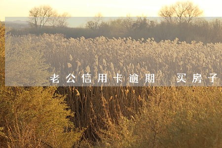 老公信用卡逾期 买房子 老公信用卡逾期 买房子